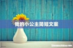 我的小公主简短文案