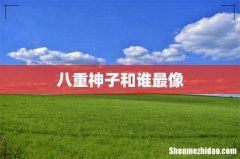 八重神子和谁最像