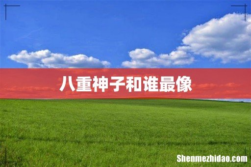 八重神子和谁最像