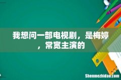 我想问一部电视剧，是梅婷，常宽主演的