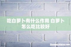 吃白萝卜有什么作用 白萝卜怎么吃比较好