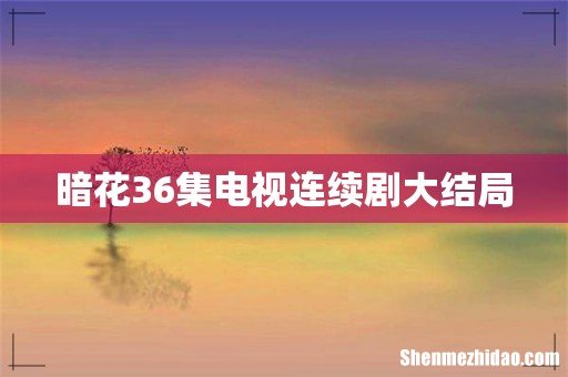 暗花36集电视连续剧大结局