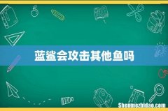 蓝鲨会攻击其他鱼吗
