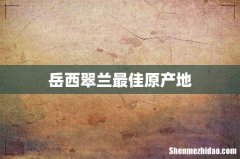 岳西翠兰最佳原产地