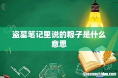 盗墓笔记里说的粽子是什么意思
