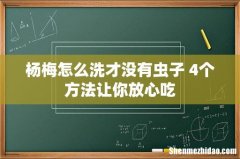 杨梅怎么洗才没有虫子 4个方法让你放心吃