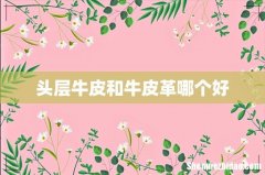 头层牛皮和牛皮革哪个好