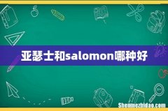 亚瑟士和salomon哪种好