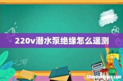220v潜水泵绝缘怎么遥测