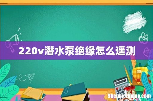220v潜水泵绝缘怎么遥测