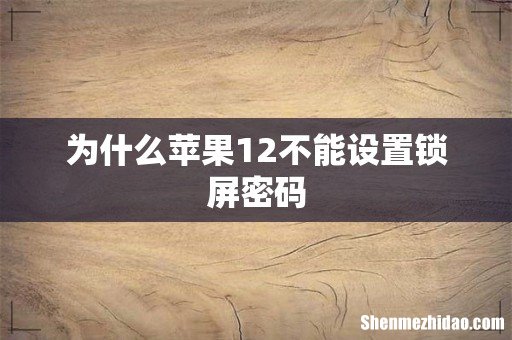 为什么苹果12不能设置锁屏密码