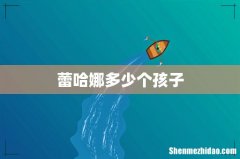 蕾哈娜多少个孩子