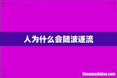 人为什么会随波逐流