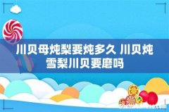 川贝母炖梨要炖多久 川贝炖雪梨川贝要磨吗