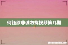 何钰欣非诚勿扰视频第几期