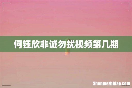 何钰欣非诚勿扰视频第几期