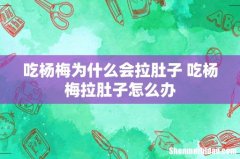 吃杨梅为什么会拉肚子 吃杨梅拉肚子怎么办