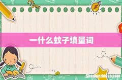 一什么蚊子填量词