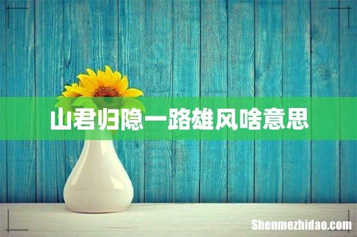 山君归隐一路雄风啥意思