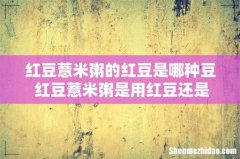 红豆薏米粥的红豆是哪种豆 红豆薏米粥是用红豆还是赤小豆