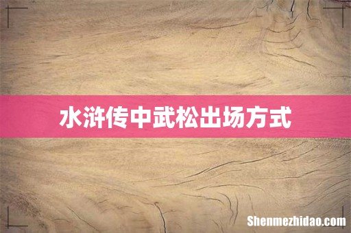 水浒传中武松出场方式
