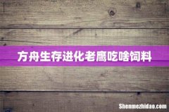 方舟生存进化老鹰吃啥饲料
