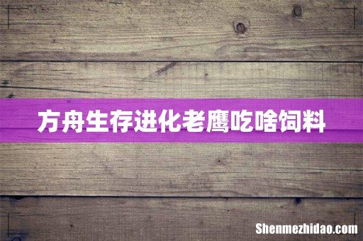 方舟生存进化老鹰吃啥饲料