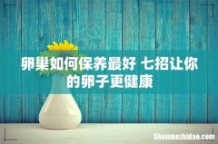 卵巢如何保养最好 七招让你的卵子更健康