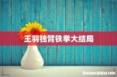 王羽独臂铁拳大结局