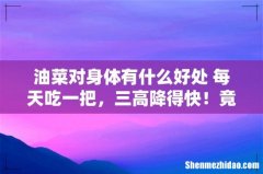 油菜对身体有什么好处 每天吃一把，三高降得快！竟还有清热解毒的功效！