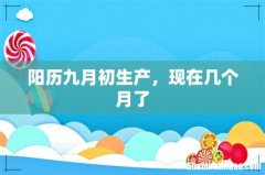 阳历九月初生产，现在几个月了