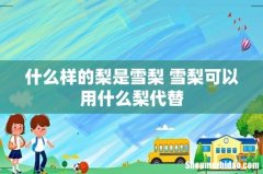 什么样的梨是雪梨 雪梨可以用什么梨代替