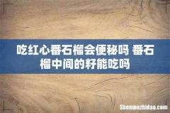 吃红心番石榴会便秘吗 番石榴中间的籽能吃吗