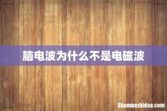 脑电波为什么不是电磁波