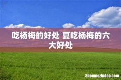吃杨梅的好处 夏吃杨梅的六大好处
