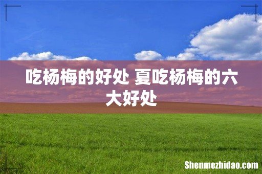 吃杨梅的好处 夏吃杨梅的六大好处