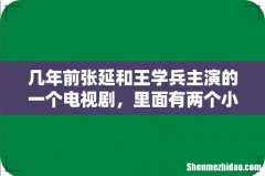 几年前张延和王学兵主演的一个电视剧，里面有两个小男孩，一个叫豆豆，一个叫拉拉。这个