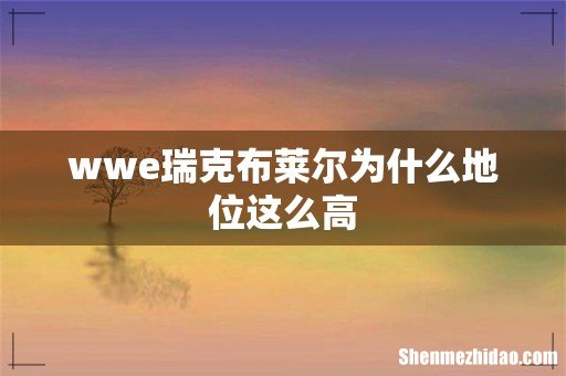 wwe瑞克布莱尔为什么地位这么高