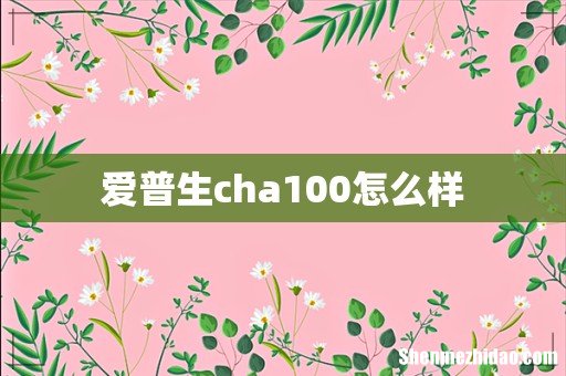 爱普生cha100怎么样