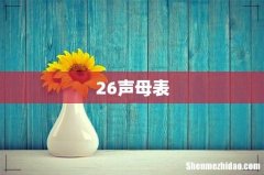 26声母表