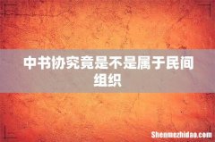 中书协究竟是不是属于民间组织