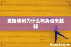 爱媛幼树为什么树势越来越弱