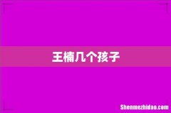 王楠几个孩子