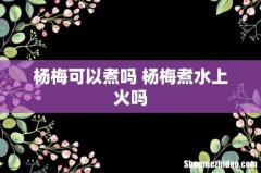 杨梅可以煮吗 杨梅煮水上火吗