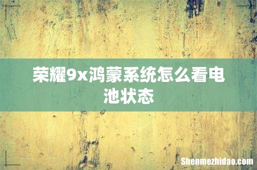 荣耀9x鸿蒙系统怎么看电池状态