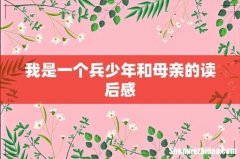 我是一个兵少年和母亲的读后感