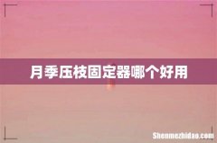 月季压枝固定器哪个好用