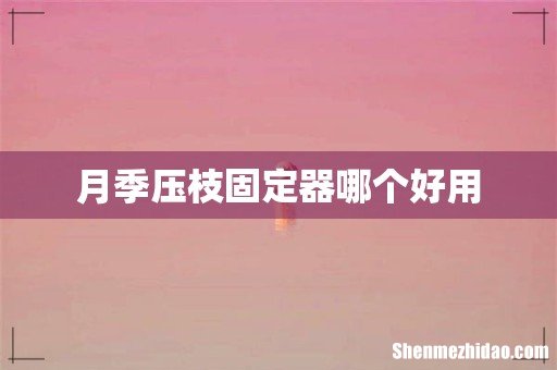 月季压枝固定器哪个好用