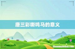 唐三彩嘶鸣马的意义