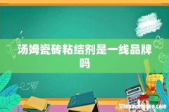 汤姆瓷砖粘结剂是一线品牌吗